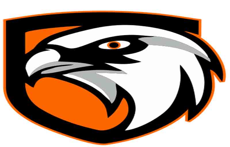 Eagle Eye Security LLC Dubai company information Close Career