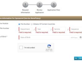 How to check overstay fine in UAE